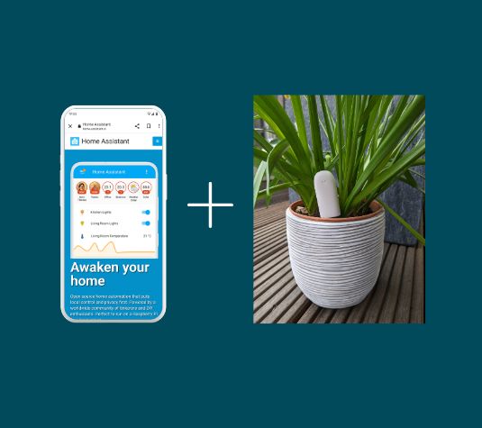 Home Assistant und Pflanze mit Pflanzensensor