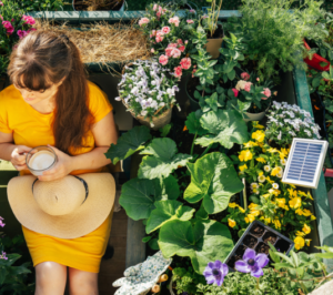 Automatische Pflanzenbewässerung selber bauen HomeTuning