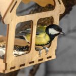 Vogel im Vogelhaus aus Holz mit Futter